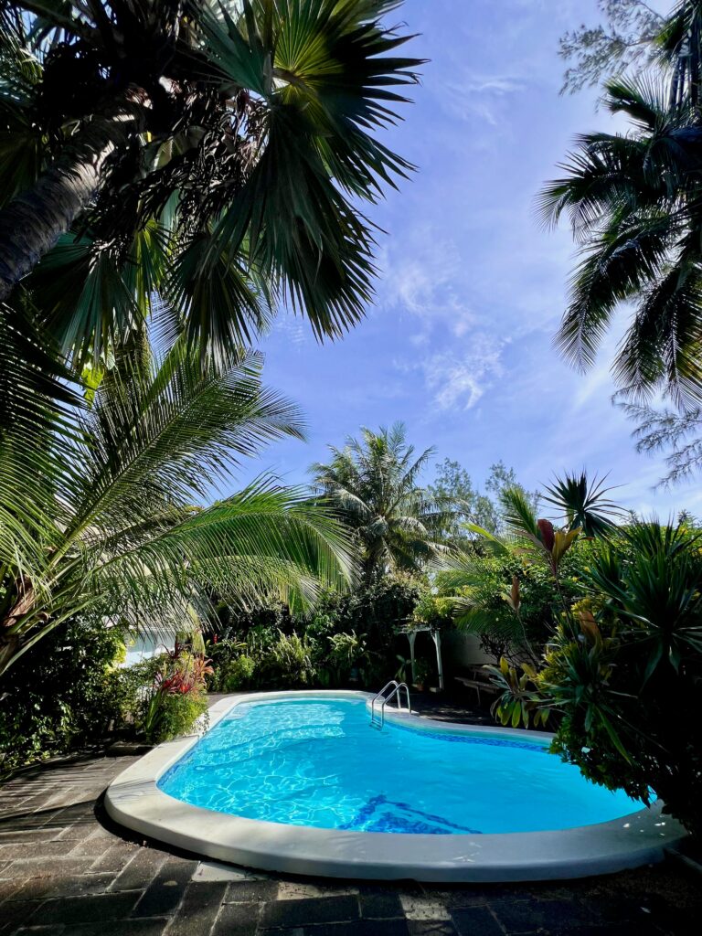 Serene tropical pool surrounded by lush palm trees under a bright blue sky.